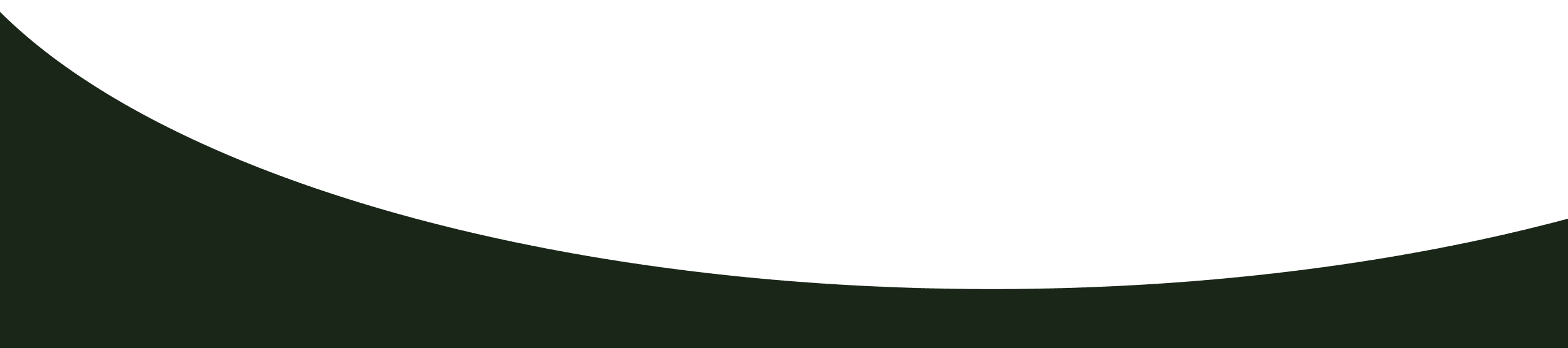 Website Curve Evergreen-01